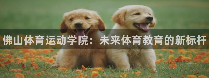 3377体育官网下载招商电话地址是多少：佛山体育运动