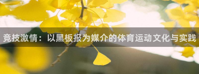 3377体育官方正版app神州：竞技激情：以黑板报为
