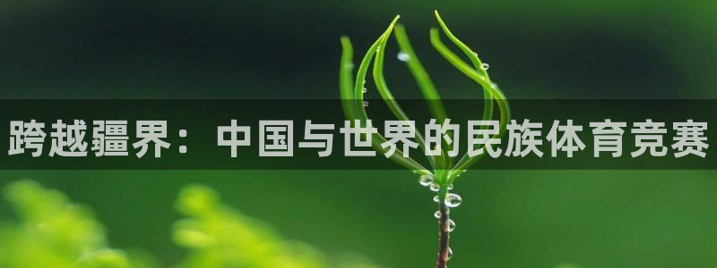 3377体育官网下载招商电话号码是多少啊：跨越疆界：