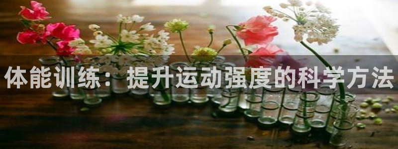 3377体育官方正版app官方：体能训练：提升运动强