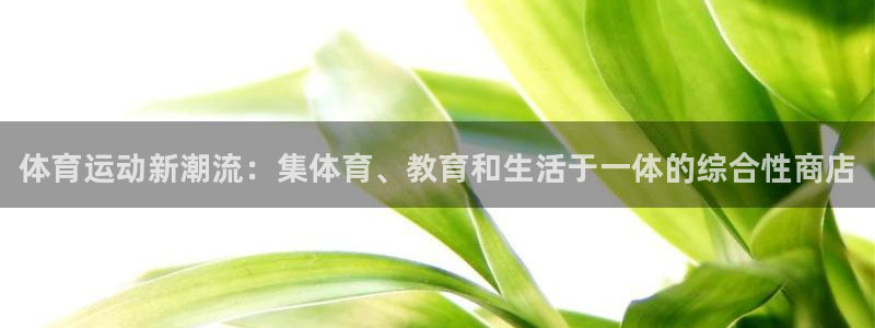 3377体育官方正版app代理：体育运动新潮流：集体育、教育