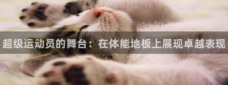 3377体育官方正版app集团E.ON：超级运动员的舞台：在