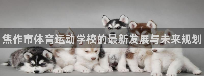 3377体育官网下载联系电话：焦作市体育运动学校的最新发展与