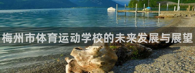 3377体育官方正版app神州：梅州市体育运动学校的未来发展