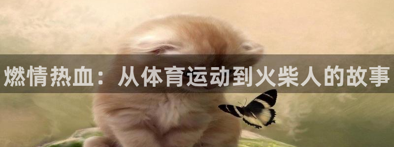 3377体育官方正版app新能源：燃情热血：从体育运动到火柴