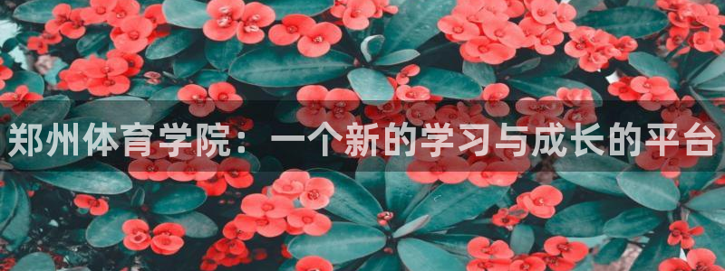 3377体育官网下载招商电话是多少