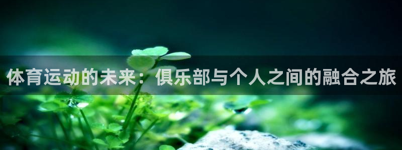 3377体育官方正版app集团官网网址