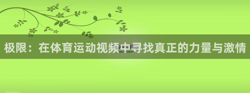 3377体育官方集团官网：极限：在体育运动视频中寻找