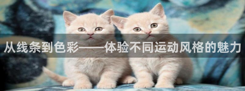 3377体育官网下载平台是正规平台吗