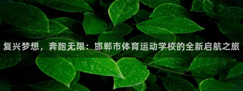 3377体育官网下载招商：复兴梦想，奔跑无限：邯郸市