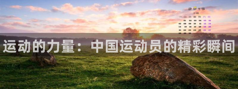 3377体育官网下载招商电话号码查询：运动的力量：中