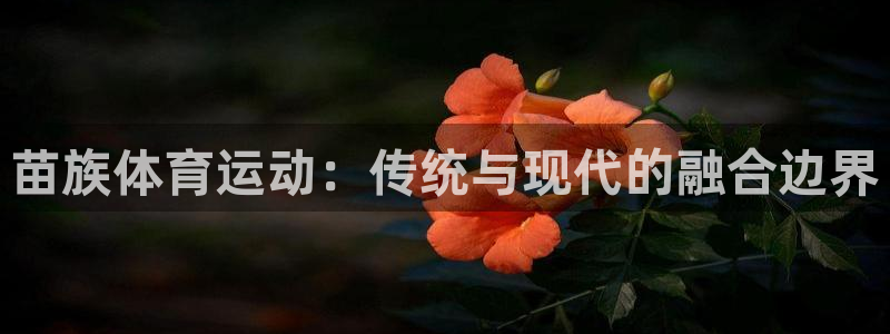 3377体育官方正版app科技：苗族体育运动：传统与