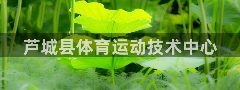 海南3377体育官网下载发展怎么样：芦城县体育运动技