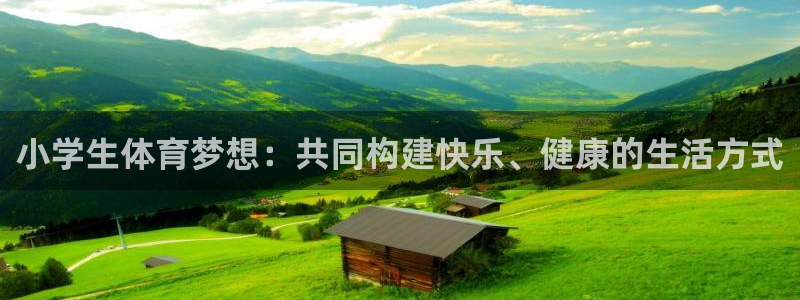 3377体育官网下载平台注册：小学生体育梦想：共同构建快乐、
