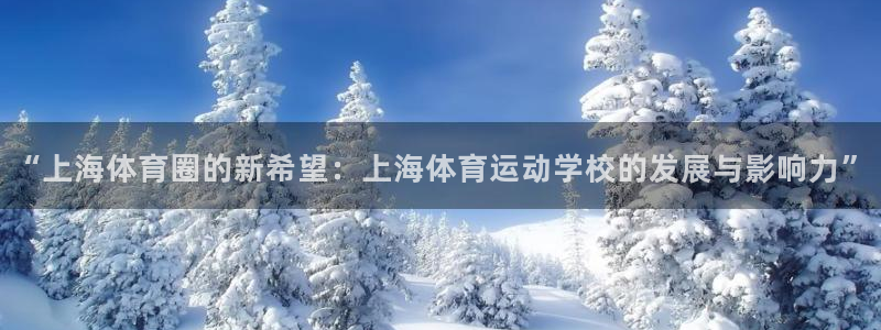 3377体育官方正版app集团简介：“上海体育圈的新