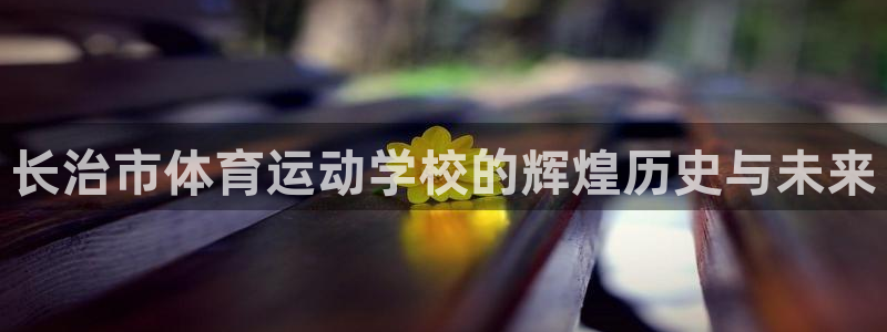 3377体育官方正版app五金厂：长治市体育运动学校的辉煌历