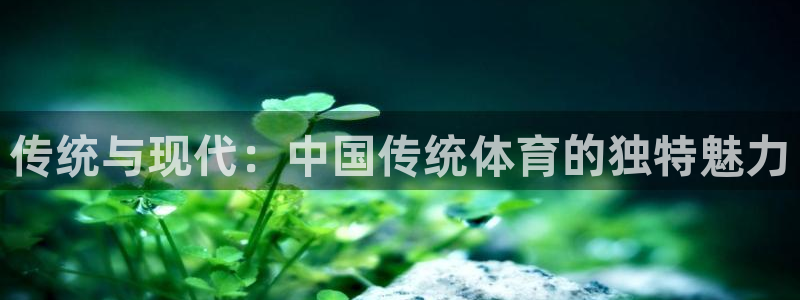 3377体育官网下载平台注册要钱吗安全吗：传统与现代