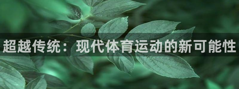 3377体育官网下载平台注册流程视频：超越传统：现代体育运动