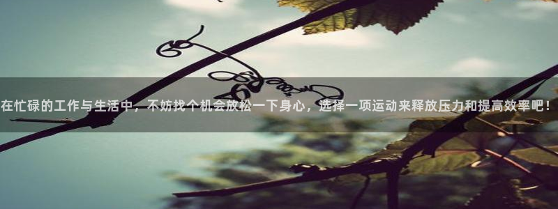 3377体育官网下载招商电话：在忙碌的工作与生活中，不妨找个