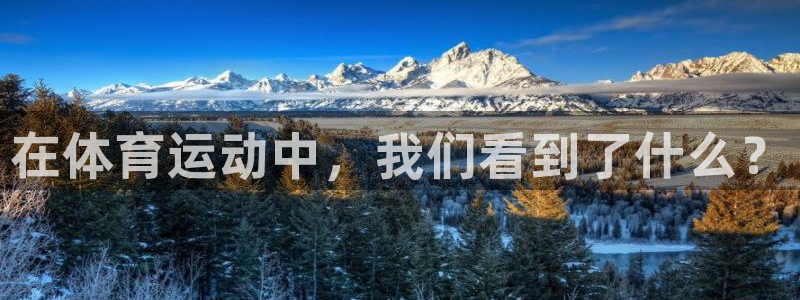 3377体育官网下载招商电话号码是多少：在体育运动中