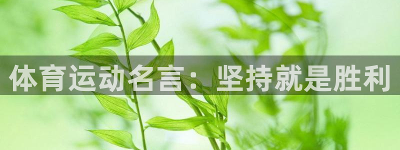 3377体育官网下载平台假的吗是真的吗吗：体育运动名言：坚持