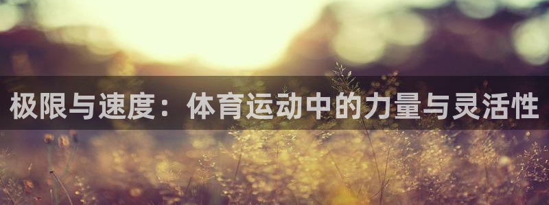 3377体育官网下载平台注册流程图