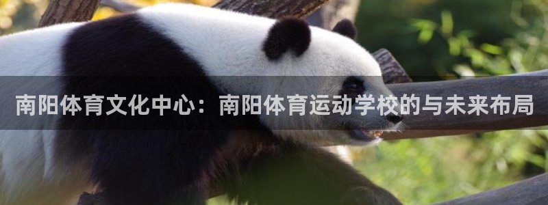 3377体育官网下载招商电话：南阳体育文化中心：南阳体育运动