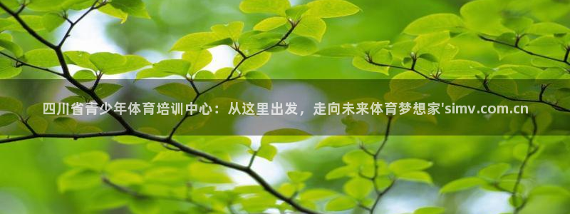 3377体育官网下载招商电话：四川省青少年体育培训中心：从这