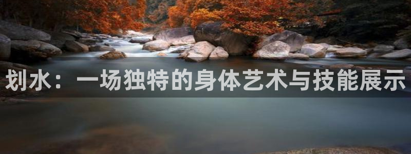 3377体育中国官方网站入口