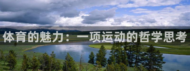 3377体育骗了多少人