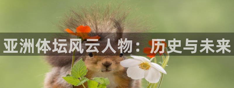 3377体育提款容易通过吗：亚洲体坛