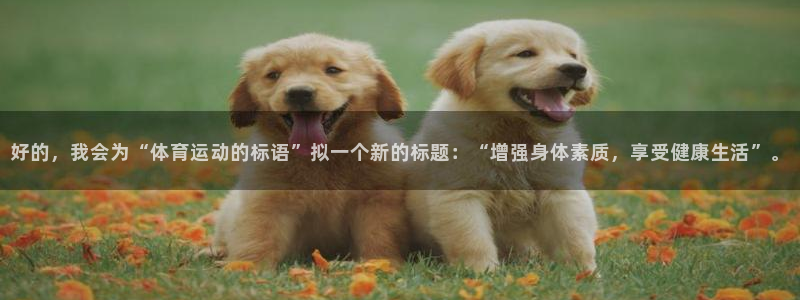 3377体育：好的，我会为“体育运动的标语”拟一个新的标题：