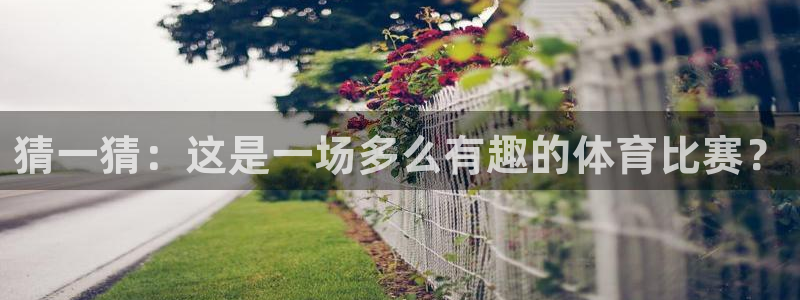 3377体育骗了多少人：猜一猜：这是