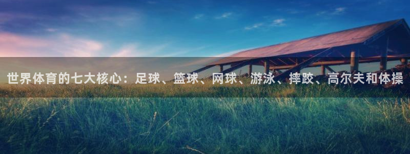  3377体育在线官网：世界体育的七大核心：足球、篮球、网球、