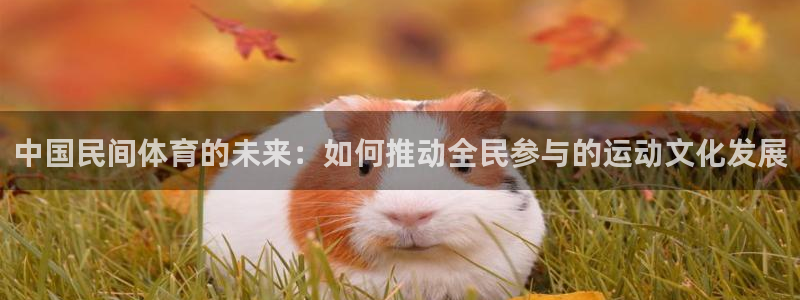  3377体育平台正规吗怎么样：中国民间体育的未来：如何推动全