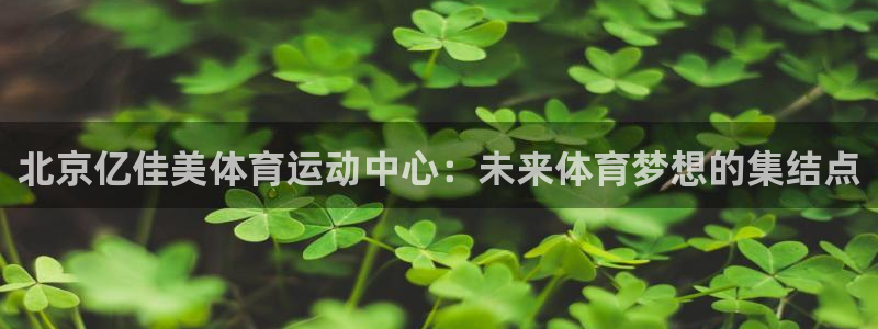 3377体育唯一官方网站：北京亿佳美