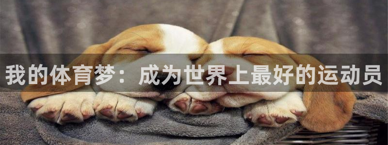 3377体育在哪个国家运营：我的体育