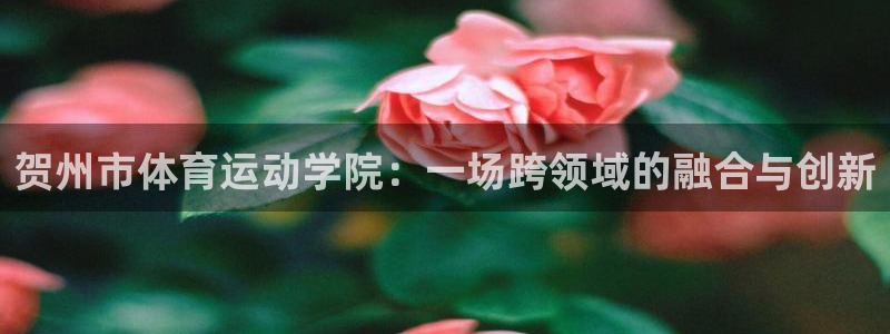 3377体育为什么提不出来：贺州市体