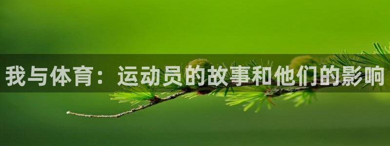 3377体育是哪的：我与体育：运动员的故事和他们的影响