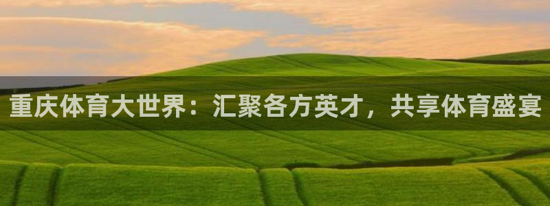 3377体育：重庆体育大世界：汇聚各方英才，共享体育盛宴
