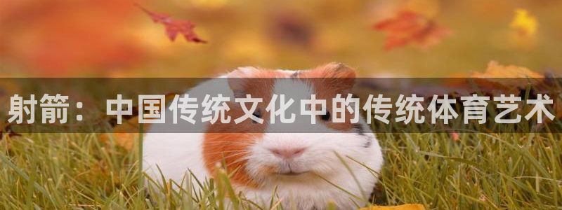3377体育手机平台：射箭：中国传统文化中的传统体育艺术
