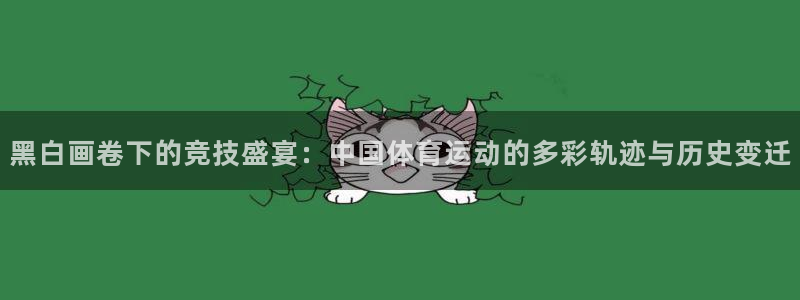  3377体育退款：黑白画卷下的竞技盛宴：中国体育运动的多彩轨