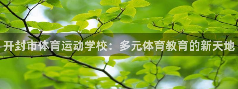  3377体育退款：开封市体育运动学校：多元体育教育的新天地