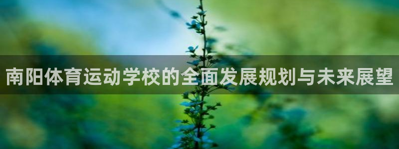 3377体育官网下载