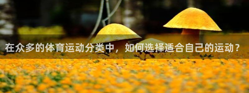 3377体育app倒闭了吗知乎