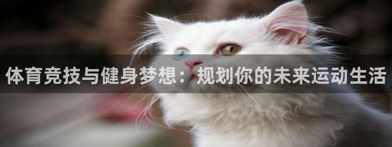 3377体育中国官方网站入口