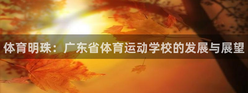 3377体育可信吗
